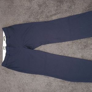 Loft Navy Pant